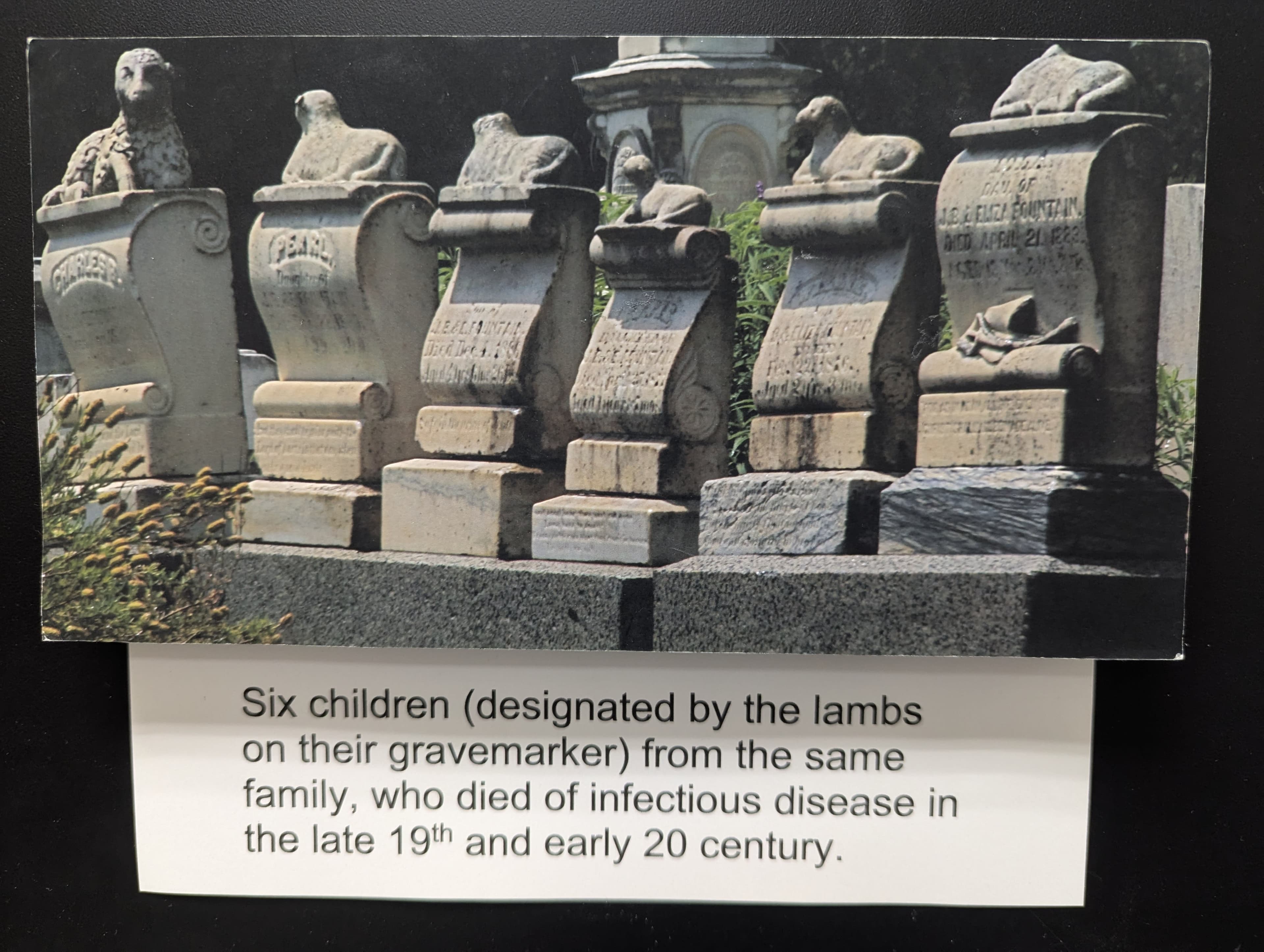 A postcard with a picture of a group of tombstones