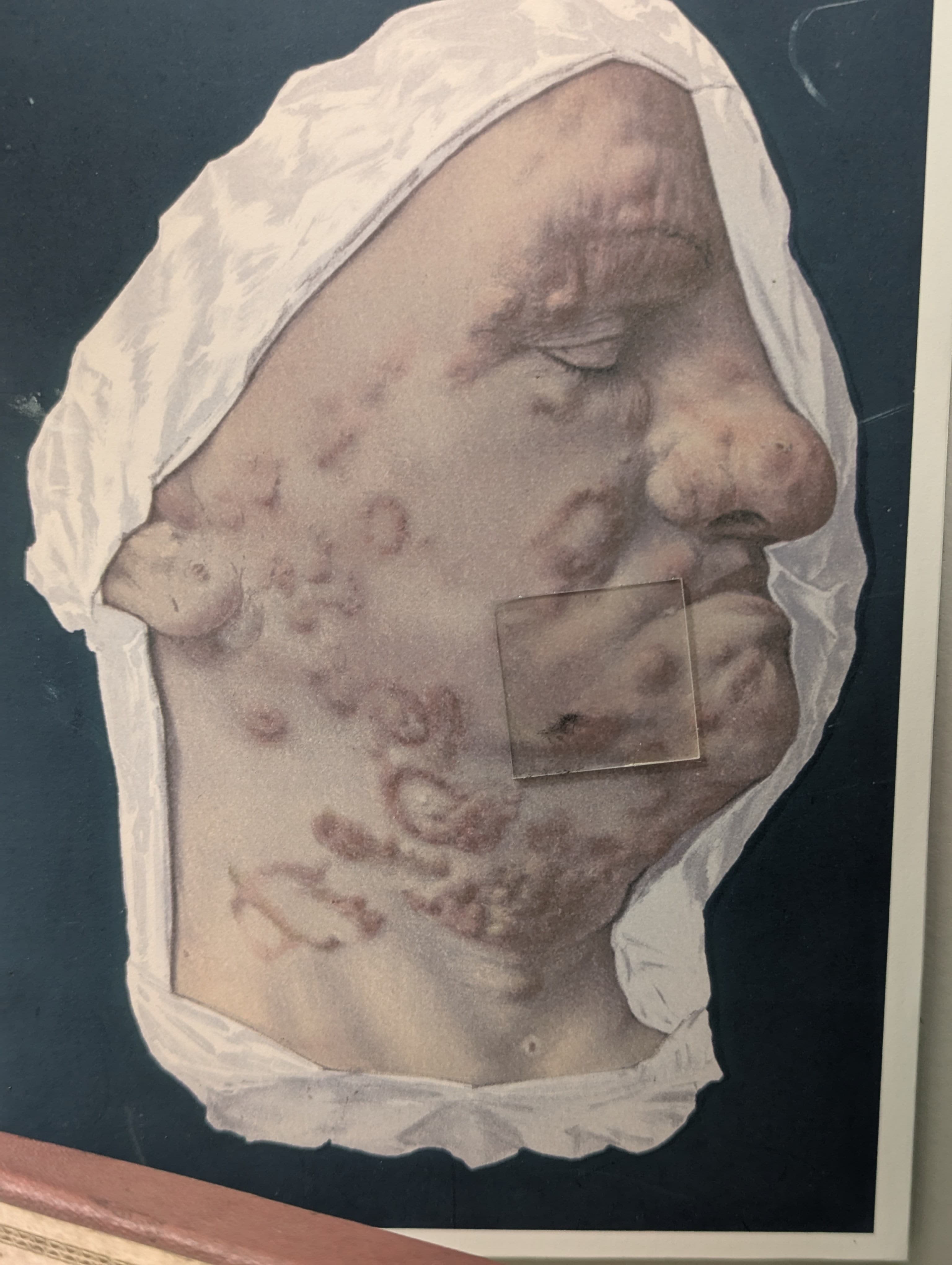 A painting of a woman's head covered in white paper