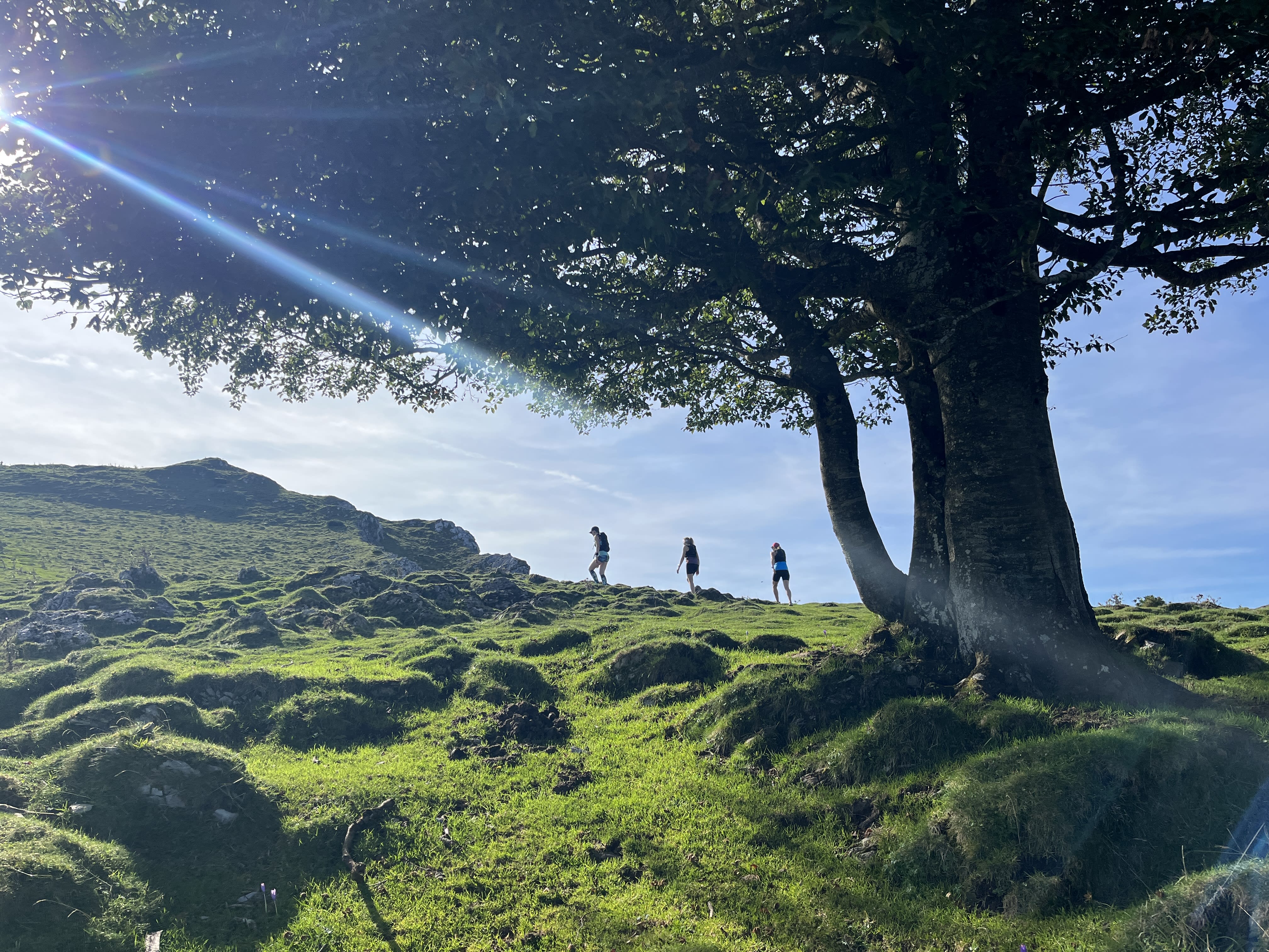 image-ZJu5My97GAlAxe-s